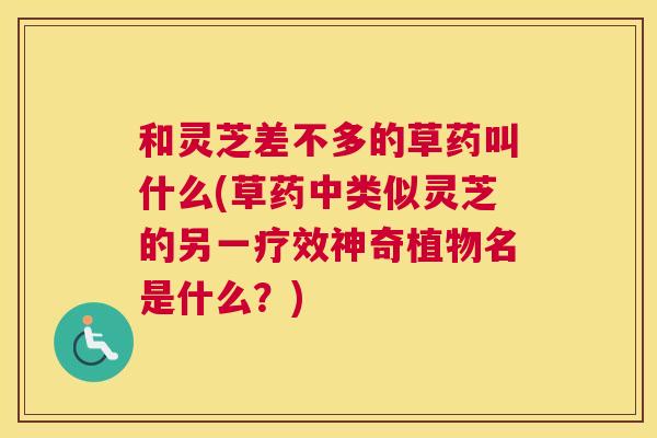 和灵芝差不多的草药叫什么(草药中类似灵芝的另一疗效神奇植物名是什么？)