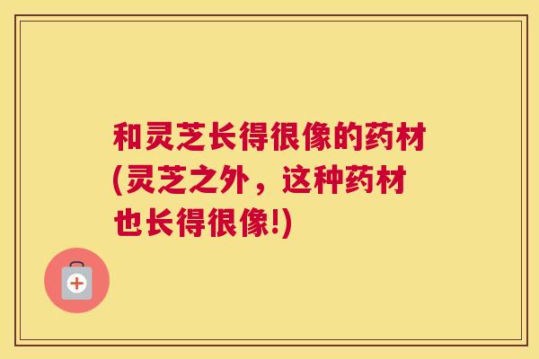 和灵芝长得很像的药材(灵芝之外，这种药材也长得很像!)