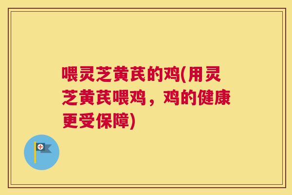 喂灵芝黄芪的鸡(用灵芝黄芪喂鸡，鸡的健康更受保障)