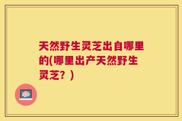 天然野生灵芝出自哪里的(哪里出产天然野生灵芝？)