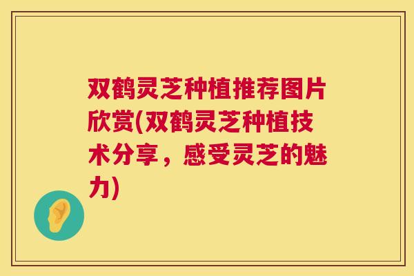 双鹤灵芝种植推荐图片欣赏(双鹤灵芝种植技术分享，感受灵芝的魅力)