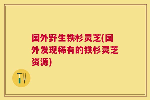 国外野生铁杉灵芝(国外发现稀有的铁杉灵芝资源)