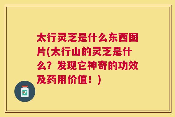 太行灵芝是什么东西图片(太行山的灵芝是什么？发现它神奇的功效及药用价值！)
