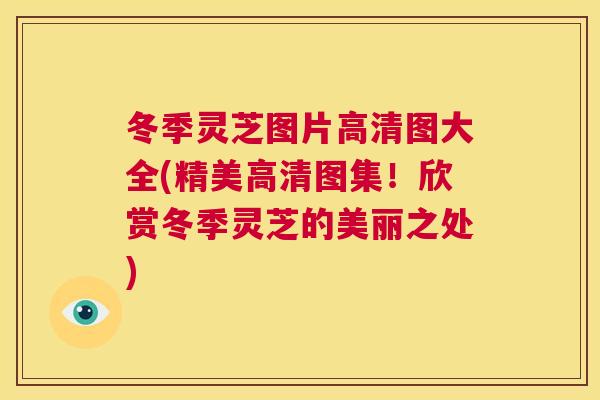 冬季灵芝图片高清图大全(精美高清图集！欣赏冬季灵芝的美丽之处)