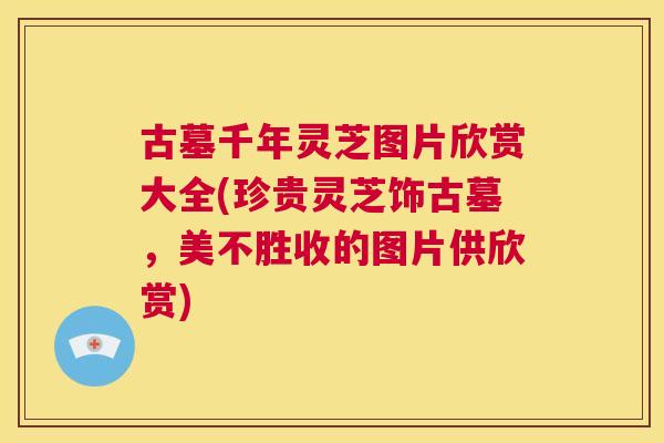 古墓千年灵芝图片欣赏大全(珍贵灵芝饰古墓，美不胜收的图片供欣赏)