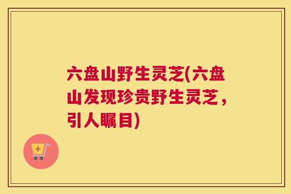 六盘山野生灵芝(六盘山发现珍贵野生灵芝，引人瞩目)