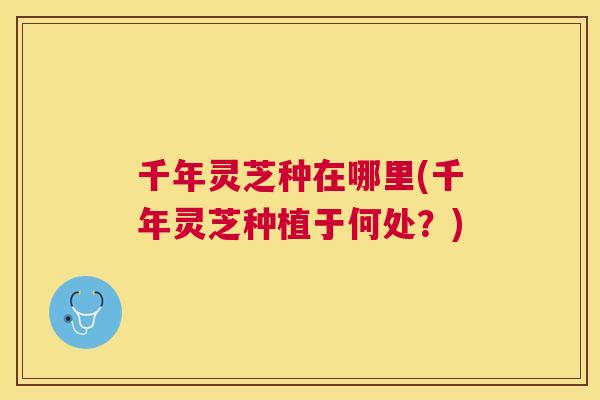 千年灵芝种在哪里(千年灵芝种植于何处？)