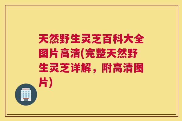 天然野生灵芝百科大全图片高清(完整天然野生灵芝详解，附高清图片)