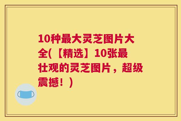 10种大灵芝图片大全(【精选】10张壮观的灵芝图片，超级震撼！)