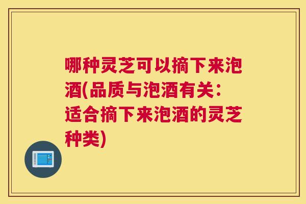 哪种灵芝可以摘下来泡酒(品质与泡酒有关：适合摘下来泡酒的灵芝种类)
