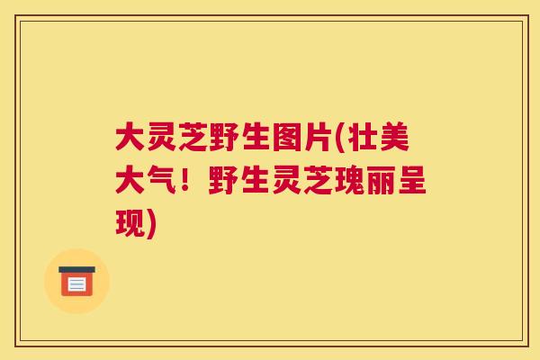 大灵芝野生图片(壮美大气！野生灵芝瑰丽呈现)