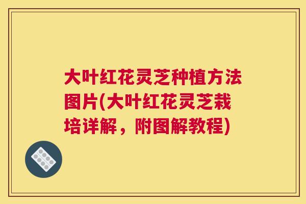大叶红花灵芝种植方法图片(大叶红花灵芝栽培详解，附图解教程)