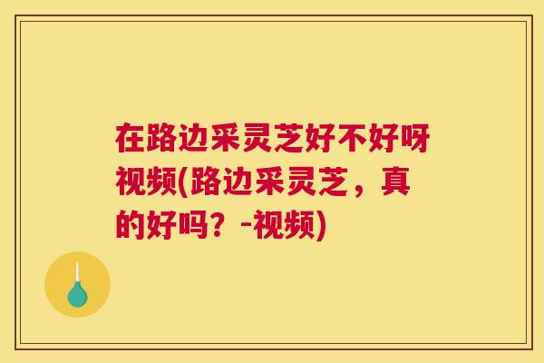 在路边采灵芝好不好呀视频(路边采灵芝，真的好吗？-视频)