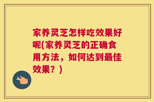 家养灵芝怎样吃效果好呢(家养灵芝的正确食用方法，如何达到佳效果？)