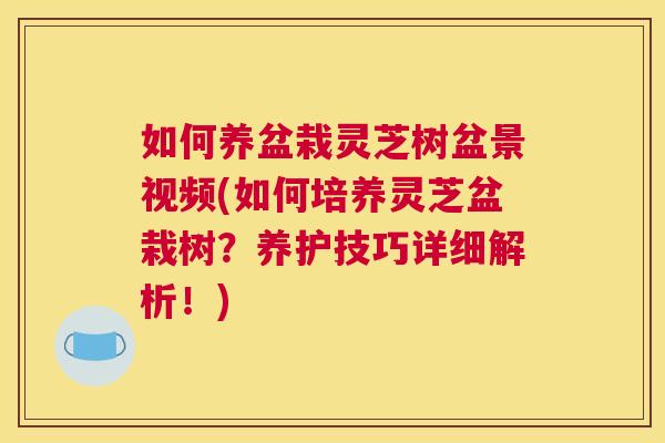 如何养盆栽灵芝树盆景视频(如何培养灵芝盆栽树？养护技巧详细解析！)