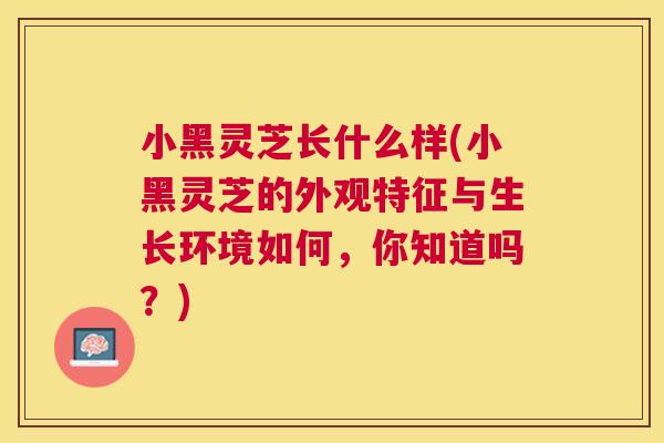 小黑灵芝长什么样(小黑灵芝的外观特征与生长环境如何，你知道吗？)