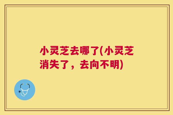 小灵芝去哪了(小灵芝消失了，去向不明)