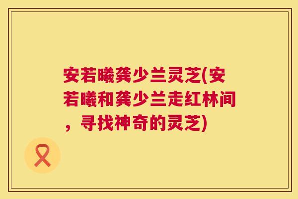 安若曦龚少兰灵芝(安若曦和龚少兰走红林间，寻找神奇的灵芝)