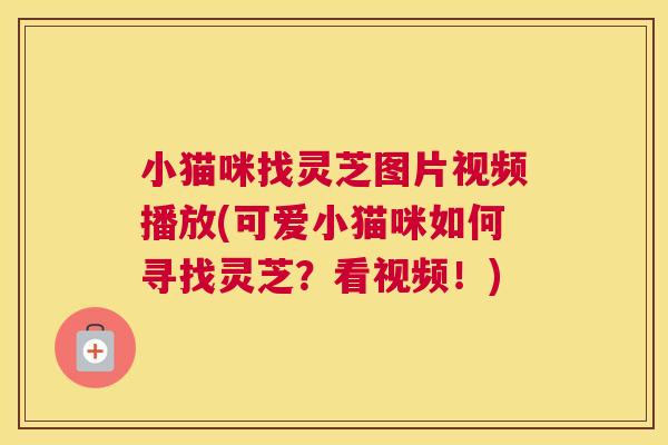 小猫咪找灵芝图片视频播放(可爱小猫咪如何寻找灵芝？看视频！)