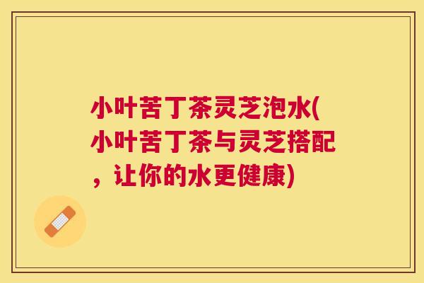 小叶苦丁茶灵芝泡水(小叶苦丁茶与灵芝搭配，让你的水更健康)