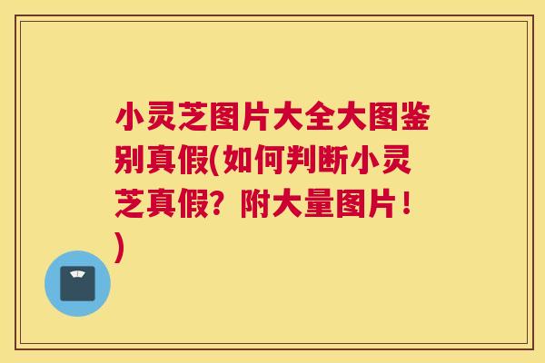 小灵芝图片大全大图鉴别真假(如何判断小灵芝真假？附大量图片！)