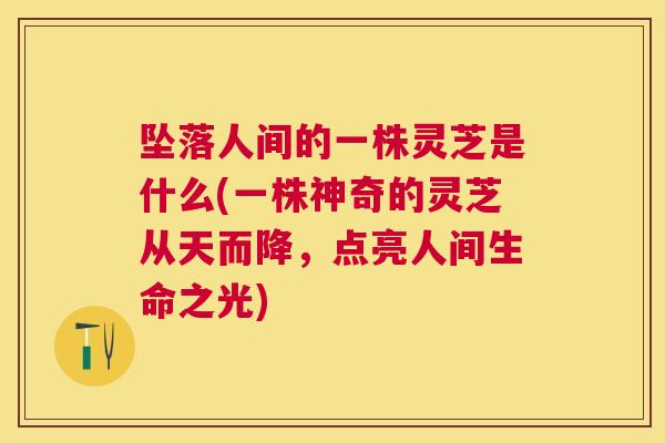坠落人间的一株灵芝是什么(一株神奇的灵芝从天而降，点亮人间生命之光)