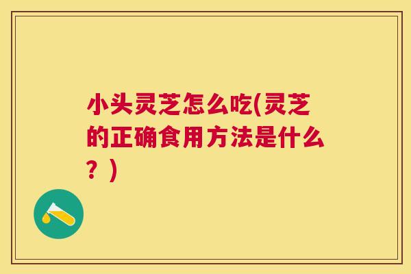 小头灵芝怎么吃(灵芝的正确食用方法是什么？)