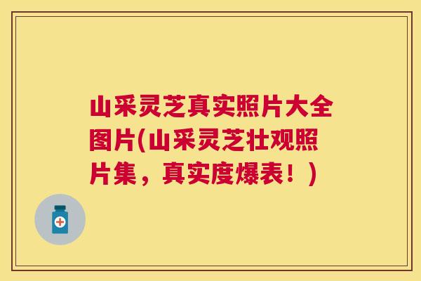 山采灵芝真实照片大全图片(山采灵芝壮观照片集，真实度爆表！)