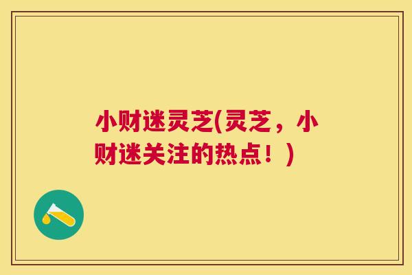 小财迷灵芝(灵芝，小财迷关注的热点！)