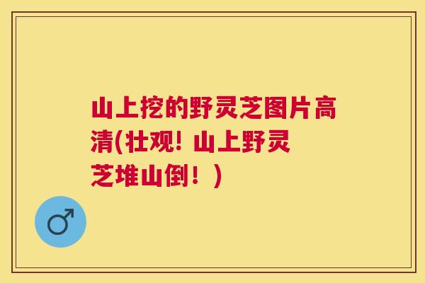 山上挖的野灵芝图片高清(壮观! 山上野灵芝堆山倒！)
