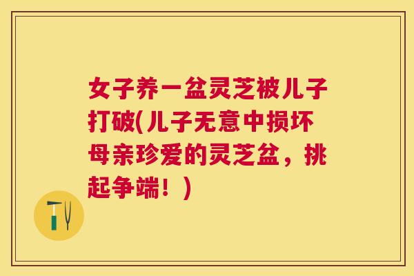 女子养一盆灵芝被儿子打破(儿子无意中损坏母亲珍爱的灵芝盆，挑起争端！)