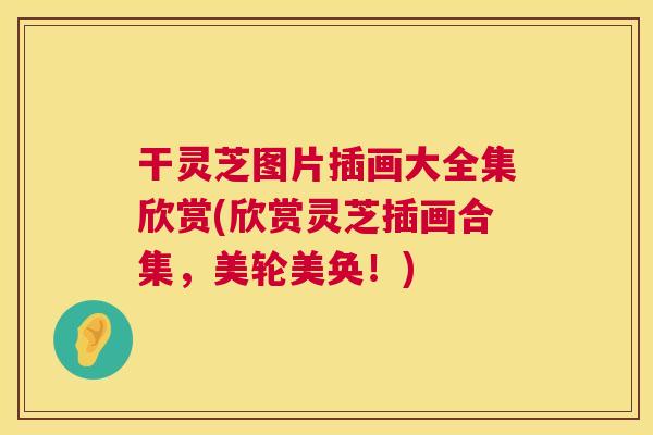 干灵芝图片插画大全集欣赏(欣赏灵芝插画合集，美轮美奂！)