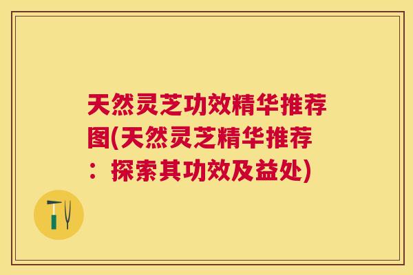 天然灵芝功效精华推荐图(天然灵芝精华推荐：探索其功效及益处)