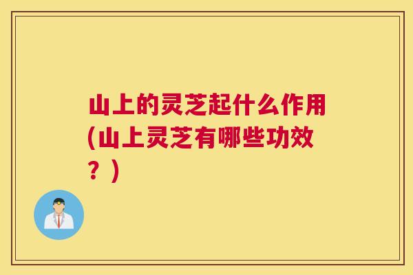 山上的灵芝起什么作用(山上灵芝有哪些功效？)