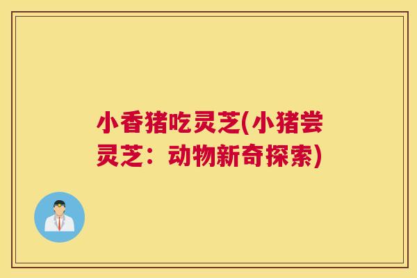 小香猪吃灵芝(小猪尝灵芝：动物新奇探索)
