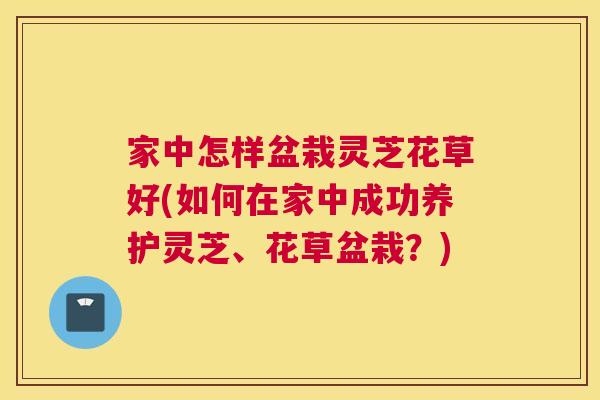 家中怎样盆栽灵芝花草好(如何在家中成功养护灵芝、花草盆栽？)