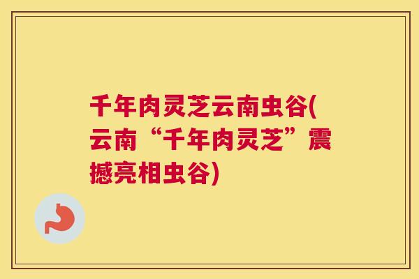 千年肉灵芝云南虫谷(云南“千年肉灵芝”震撼亮相虫谷)