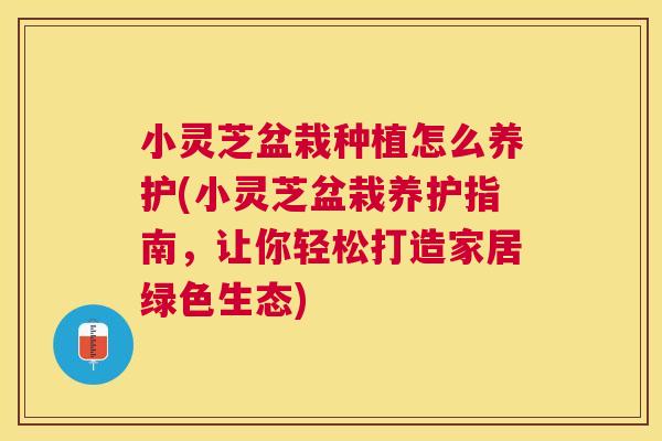 小灵芝盆栽种植怎么养护(小灵芝盆栽养护指南，让你轻松打造家居绿色生态)