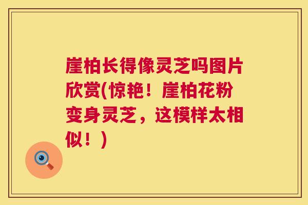 崖柏长得像灵芝吗图片欣赏(惊艳！崖柏花粉变身灵芝，这模样太相似！)