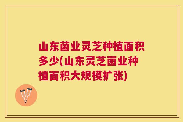 山东菌业灵芝种植面积多少(山东灵芝菌业种植面积大规模扩张)