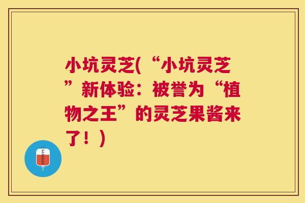 小坑灵芝(“小坑灵芝”新体验：被誉为“植物之王”的灵芝果酱来了！)