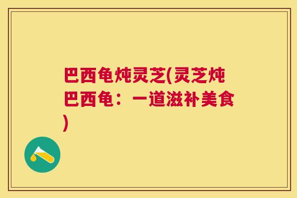 巴西龟炖灵芝(灵芝炖巴西龟：一道滋补美食)