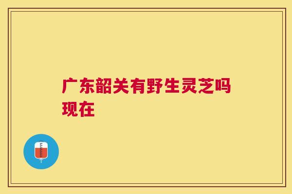 广东韶关有野生灵芝吗现在