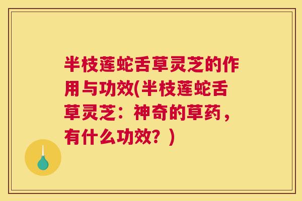 半枝莲蛇舌草灵芝的作用与功效(半枝莲蛇舌草灵芝：神奇的草药，有什么功效？)