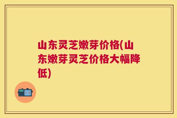 山东灵芝嫩芽价格(山东嫩芽灵芝价格大幅降低)