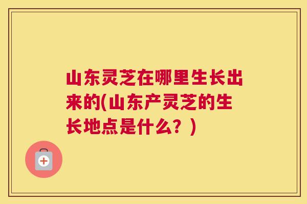 山东灵芝在哪里生长出来的(山东产灵芝的生长地点是什么？)