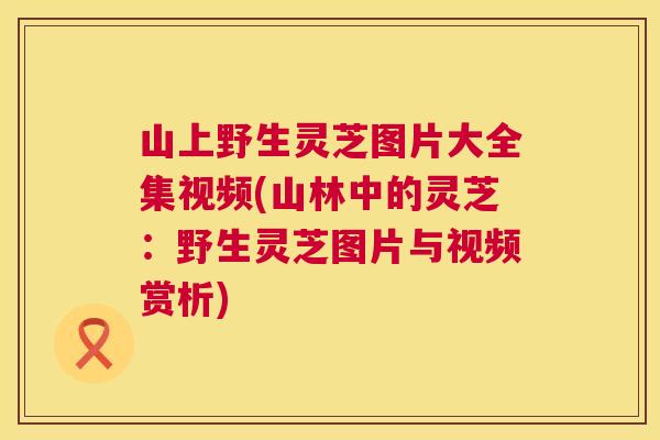 山上野生灵芝图片大全集视频(山林中的灵芝：野生灵芝图片与视频赏析)