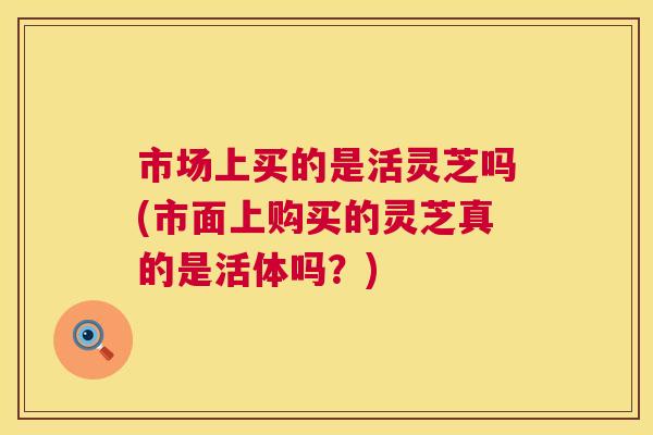 市场上买的是活灵芝吗(市面上购买的灵芝真的是活体吗？)