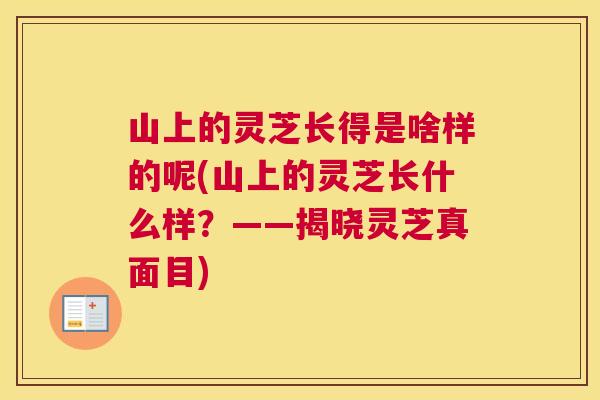 山上的灵芝长得是啥样的呢(山上的灵芝长什么样？——揭晓灵芝真面目)