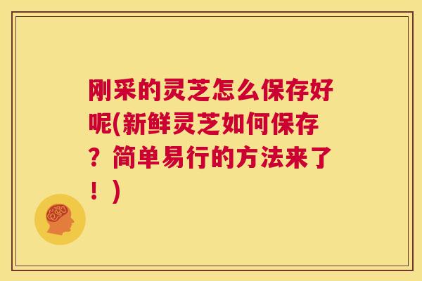 刚采的灵芝怎么保存好呢(新鲜灵芝如何保存？简单易行的方法来了！)